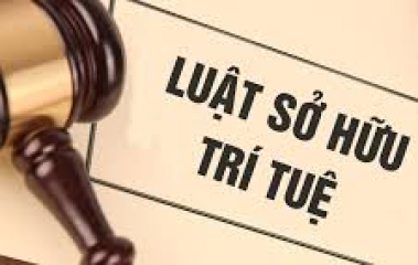 Hợp Đồng Sỡ Hữu Trí Tuệ